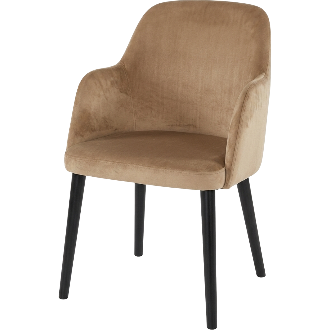 Sonderposten Polsterstuhl Chandler Fresh 3