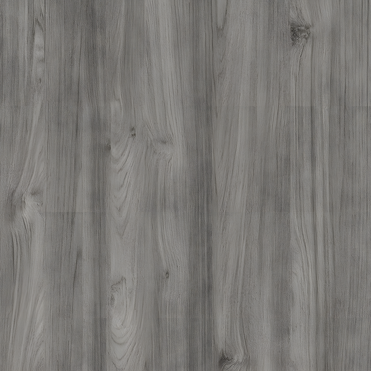 Compact Ashen Oak