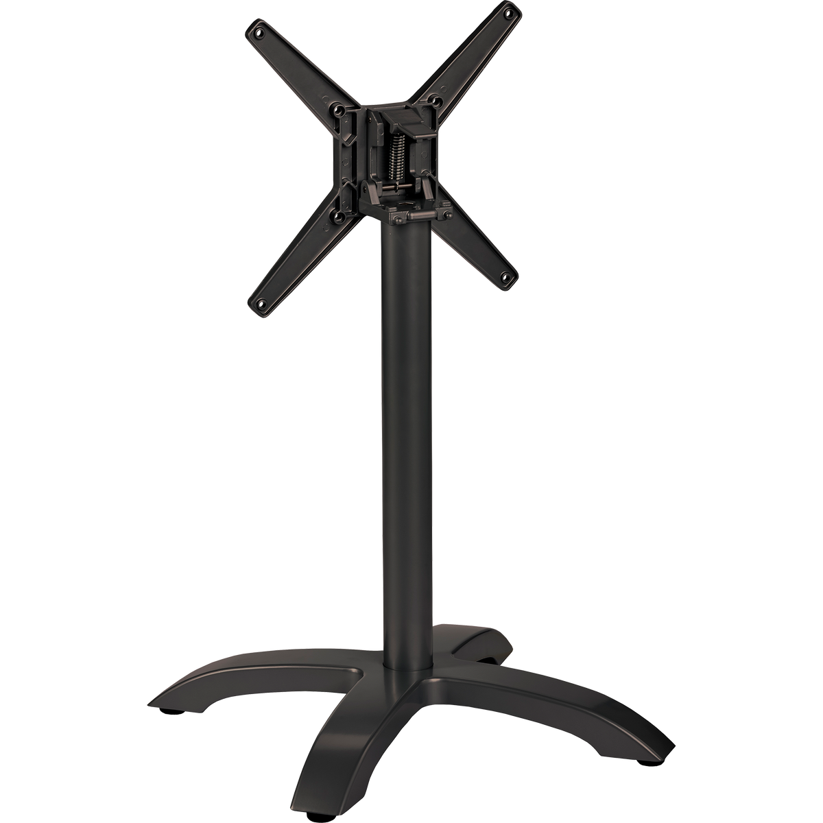 Nancy_schwarz_(gekippt) Kopie