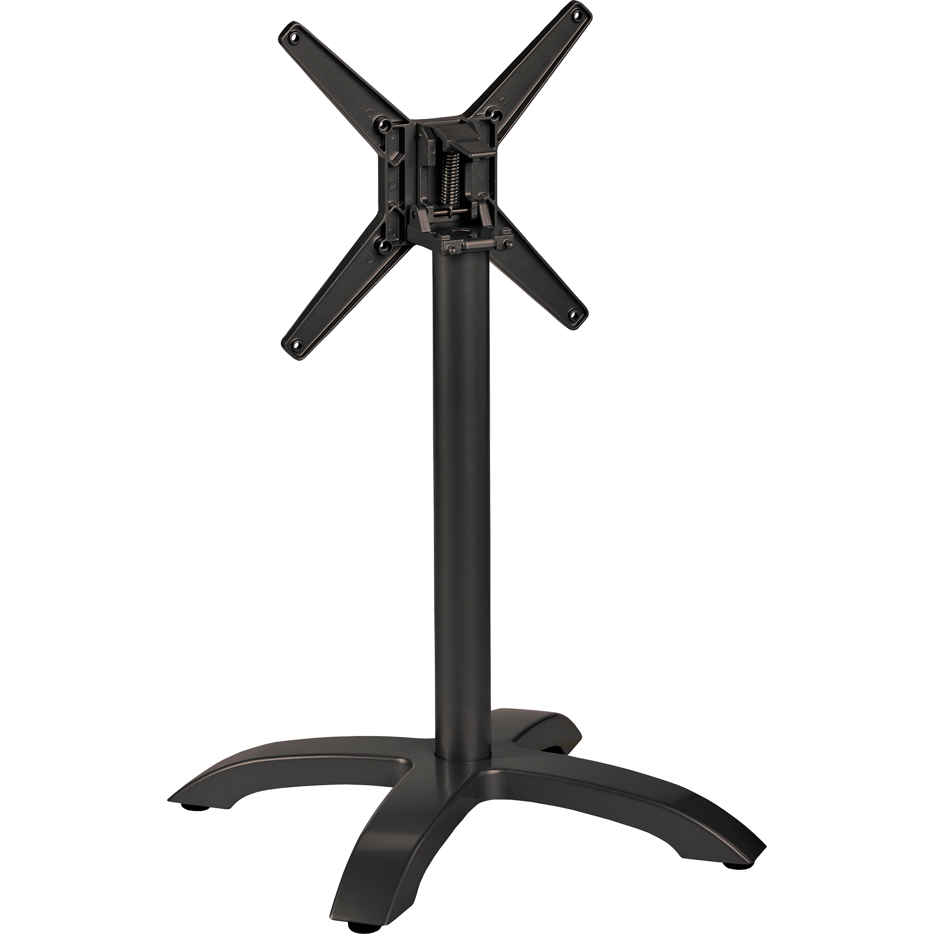 Nancy_schwarz_(gekippt) Kopie