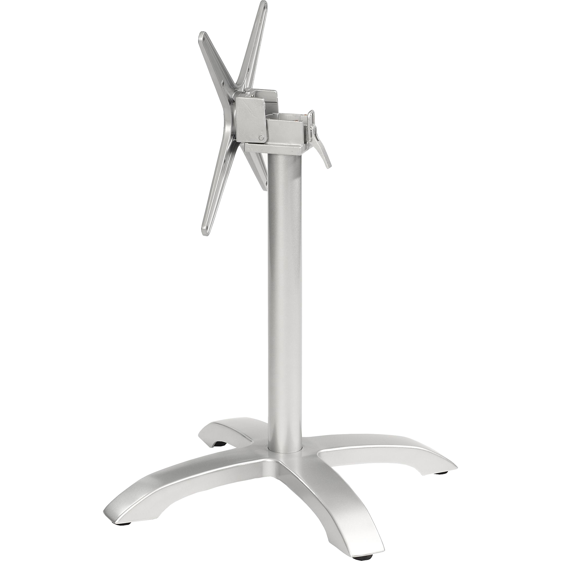 Nancy_silber_(gekippt) Kopie