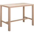 Stehtisch Vesta 120x80x110cm